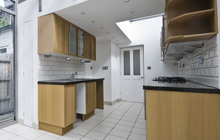 Ditton Green kitchen extension leads